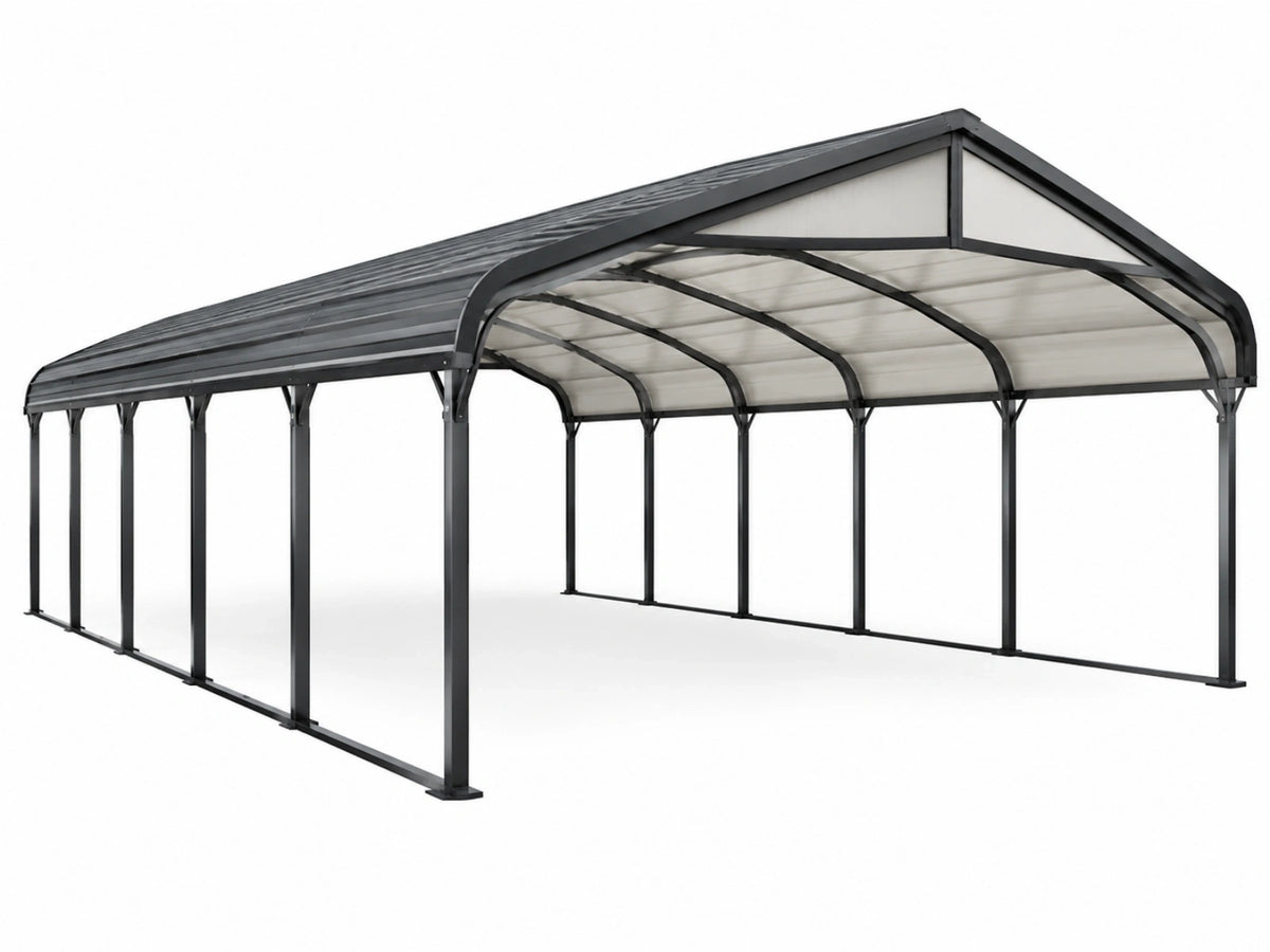 Carport 600 x 300 x 270 cm zwart metalen frame met transparant dak voor buiten